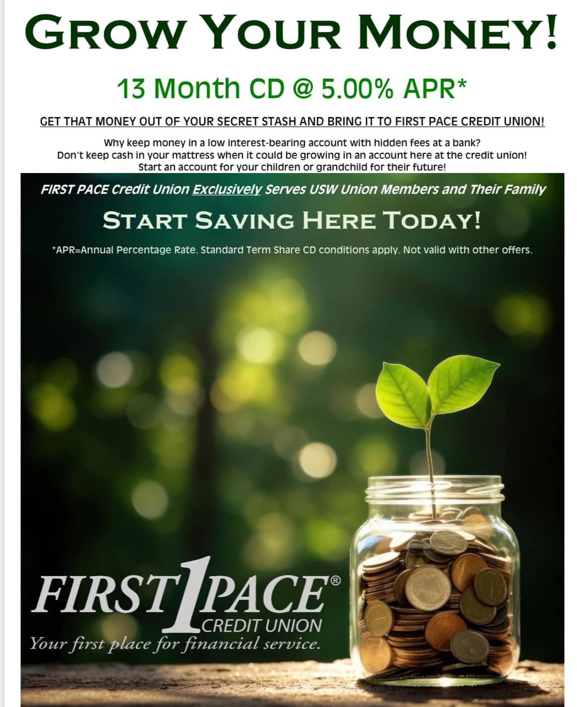 13 Month Certificate of Deposit 5 % A P R